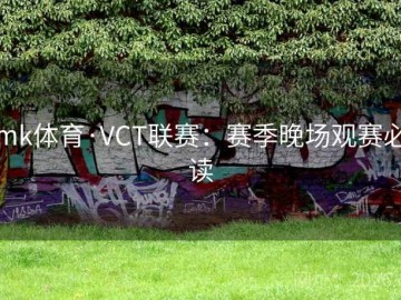 mk体育·VCT联赛：赛季晚场观赛必读