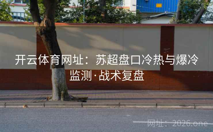 开云体育网址：苏超盘口冷热与爆冷监测·战术复盘