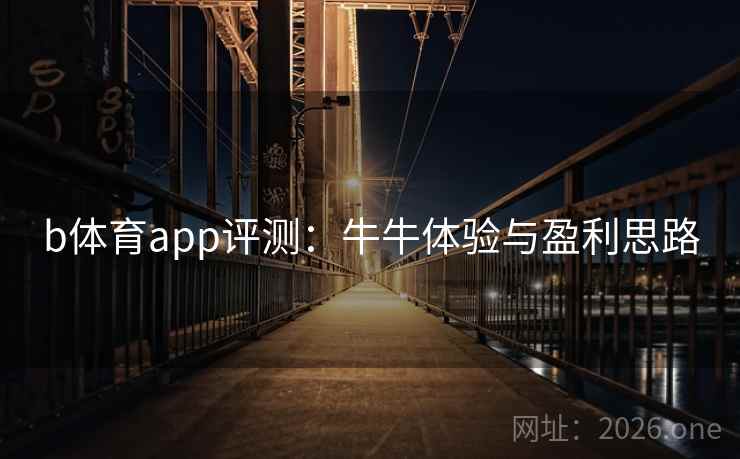b体育app评测：牛牛体验与盈利思路