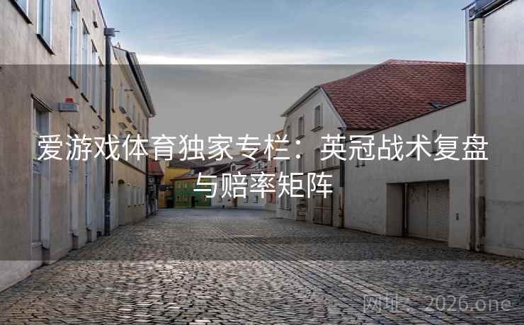 爱游戏体育独家专栏：英冠战术复盘与赔率矩阵