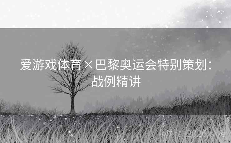 爱游戏体育×巴黎奥运会特别策划：战例精讲