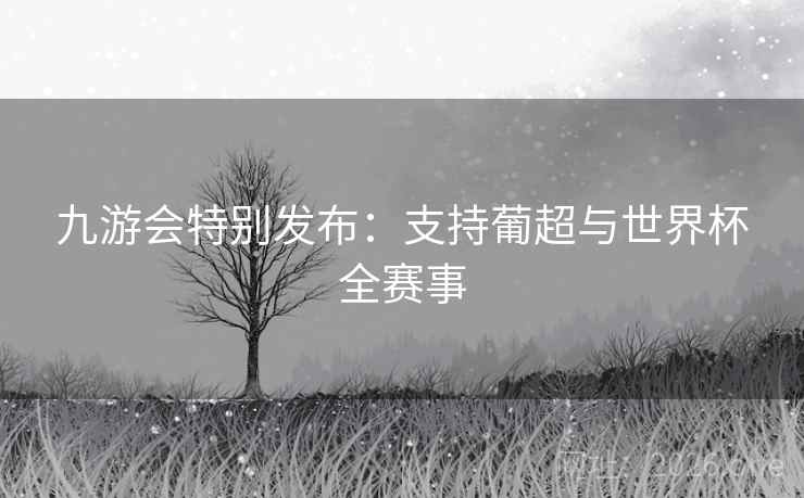 九游会特别发布：支持葡超与世界杯全赛事