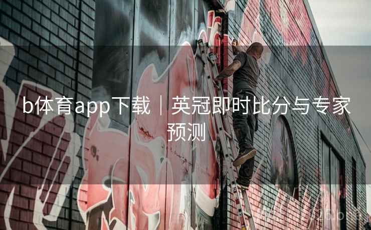 b体育app下载｜英冠即时比分与专家预测